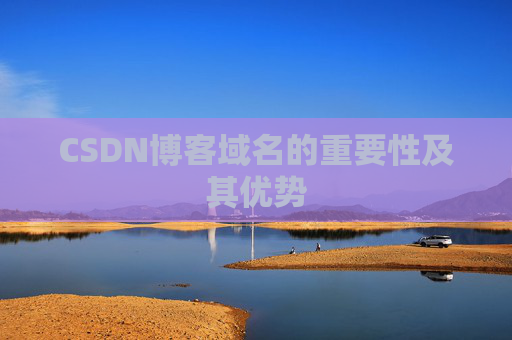 CSDN博客域名的重要性及其优势